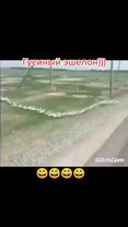TikTok video #7520972540735474950