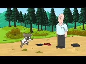 капоэйро сучка