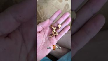 《民間借財法》如果你真的手頭緊又沒其他辦法！你就試試這樣做！接了！功德無量！#國學文化 #民俗文化 #生活小妙招 #好運連連 #道家文化 #民間傳說 #傳統文化 #轉運 #借金 #玄學 #運勢 #財運