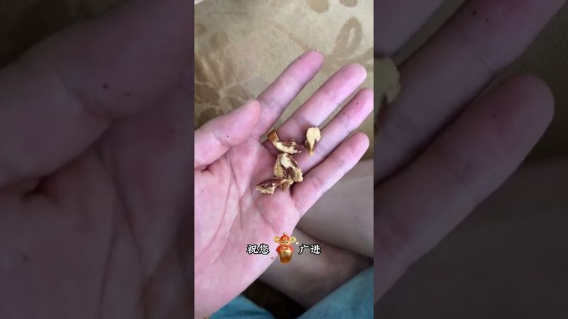 《民間借財法》如果你真的手頭緊又沒其他辦法！你就試試這樣做！接了！功德無量！#國學文化 #民俗文化 #生活小妙招 #好運連連 #道家文化 #民間傳說 #傳統文化 #轉運 #借金 #玄學 #運勢 #財運