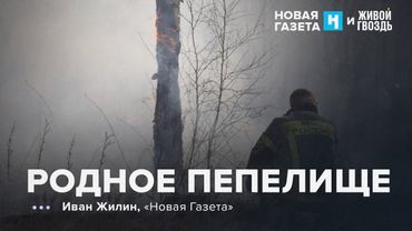 Почему Россия так сильно горит? Иван Жилин / 30.05.25