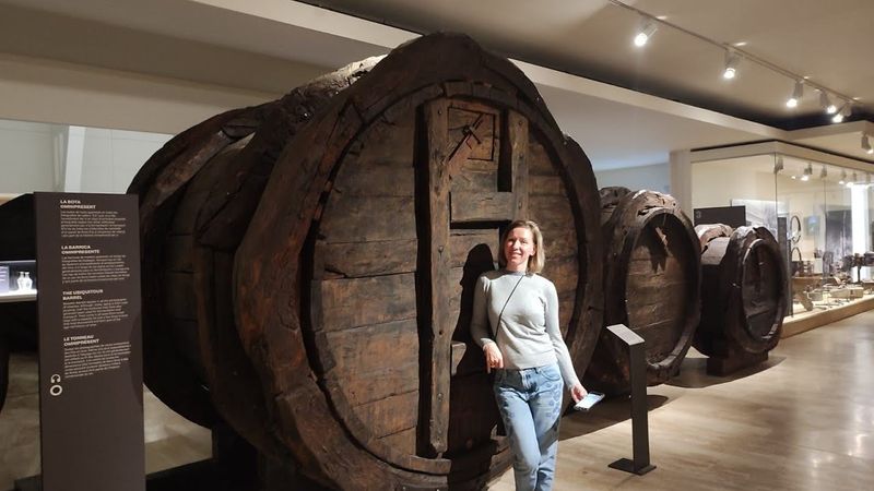 Музей вина Vilafranca del Penedes в Испании. Советуем посетить- не пожалеете!!!