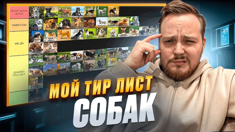 ТИР ЛИСТ СОБАК | ЛУЧШИЕ И ХУДШИЕ СОБАКИ |ТОП ПОРОД
