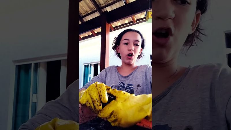 24 de agosto de 2025