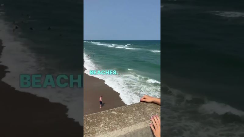 funny videos tamil  #shorts #foryou #shortsfeed #funny #comedy #trend #whoops #angel