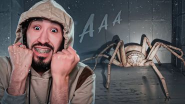 O'rgimchakdan Fobiyasi Borlar Ko'rmasin - Huntsman