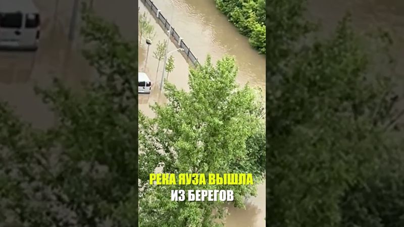 Центр Москвы столкнулся с масштабным подтоплением