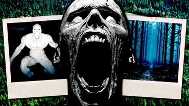 10 СТРАШНЫХ ИСТОРИЙ ПРО РУССКИЙ ЛЕС! — РЕАЛЬНЫЕ ИСТОРИИ