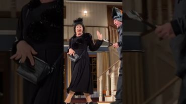 Блискуча ідея!!! Неперевершена гра Олени Стефанської!!!