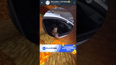 Крутой кот😂😂😂 #youtube #мемы #приколы #shorts #a4 #тикток