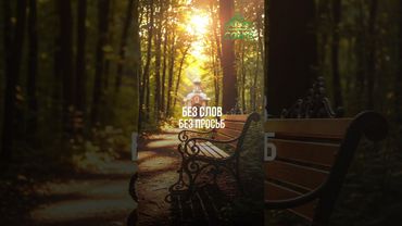 Совет дня: Не ищи чудес — ищи тишины в сердце