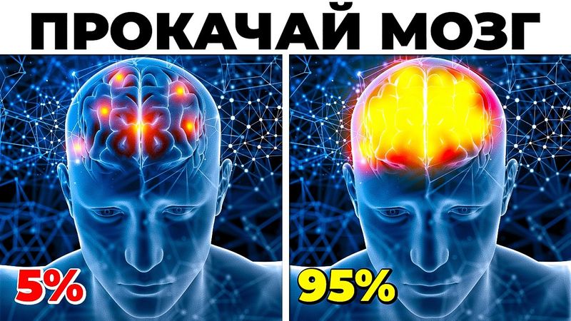 ТРЕНИРОВКА ВНИМАНИЯ || 9 ЭФФЕКТИВНЫХ УПРАЖНЕНИЙ на устойчивость, объем и переключение внимания