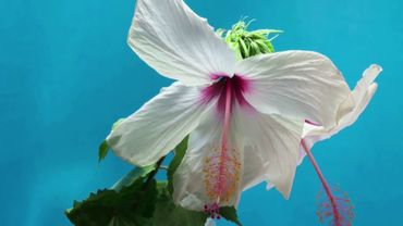 «Приди ко мне» — это искренний зов, лирика сердца, написанная не ради рифмы.2025 г.