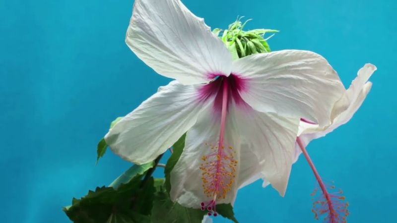 «Приди ко мне» — это искренний зов, лирика сердца, написанная не ради рифмы.2025 г.