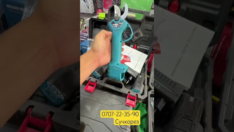 Дарак бутагыч