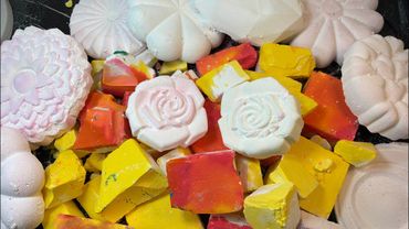 Tropical Vibes 🌴🥥🍊🍋