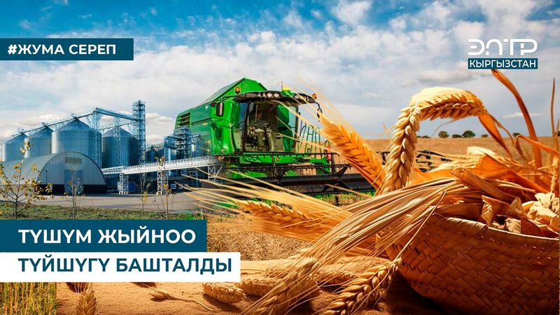 ТҮШҮМ ЖЫЙНОО ТҮЙШҮГҮ БАШТАЛДЫ