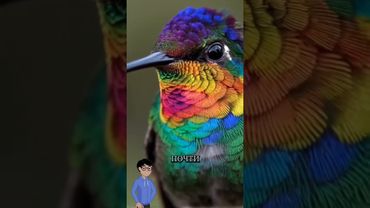 Колибри — это не просто птица.#наука #животные #Shorts #AI #природа #интересно #колибри