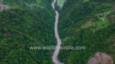 Confluence of Pindar & Sunderdhunga rivers, both leaping through verdant Himalayan forested valleys