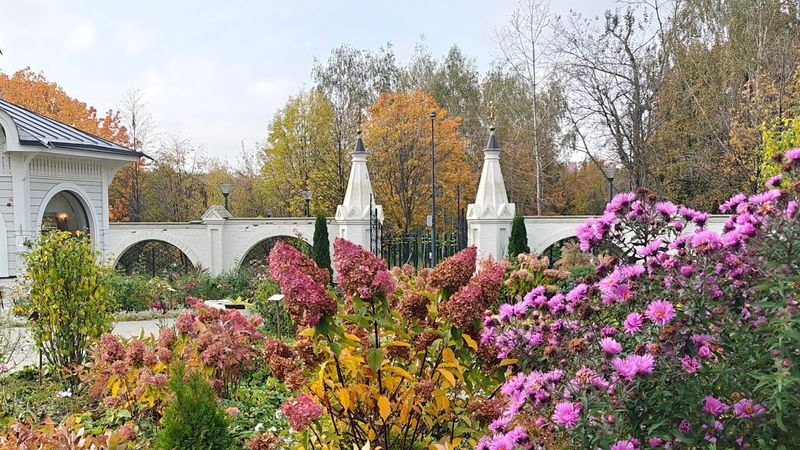 Осенний вальс (поет Анна Герман)