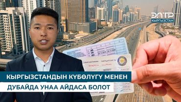 ЭЧ КАНДАЙ СЫНАК ЖОК! КЫРГЫЗСТАНДЫН АЙДООЧУЛУК КҮБӨЛҮГҮ АРАБ ЭМИРАТТАРЫНДА ТААНЫЛАТ