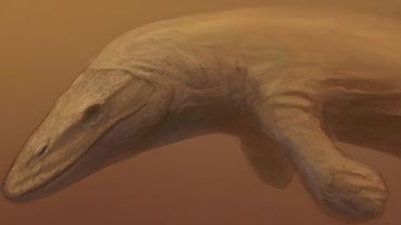 Морские Монстры Ставшие Речными Хищниками