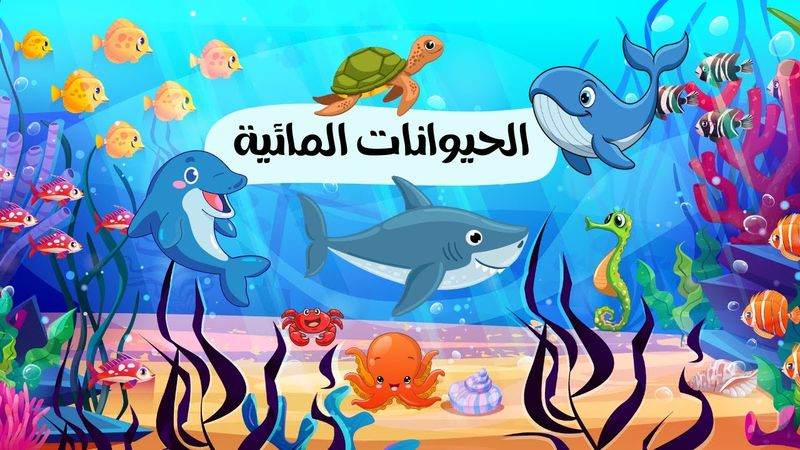 الحيوانات البحريّة للأطفال - استكشاف عالم البحار- Marine Animals for Kids.