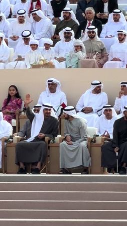 #محمد_بن_زايد #cupcut #fyp #viral #explore 