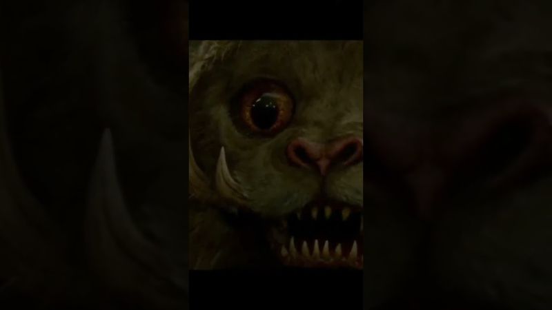 explicación del Zouwu de animales fantásticos #explicacion #animalesfantasticos #parati #shorts