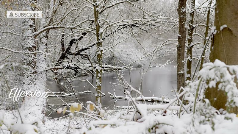 Soothing Dream Music - Winter Forest - 4K ULTRA HD - Relax