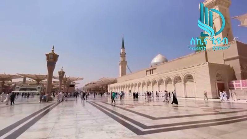 ፋጢመቱ ዘህራእ|Fatimetu Zehraa|Seyid Ibrahim(@Sekina_menzuma )