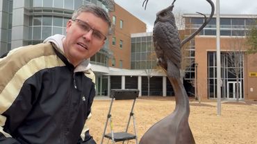 Outdoor Sculptures: Cleaning & Protecting