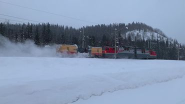 Russian trains - snowplow and freight trains