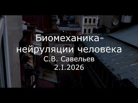 С.В. Савельев - Биомеханика нейруляции человека