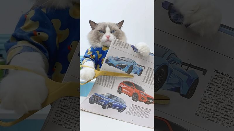 🎩✨ Puff the "scam artist" strikes again with his playful tricks! #PuffThePrankster #ThatLittlePuff