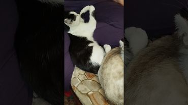 16 сентября 2025 г.