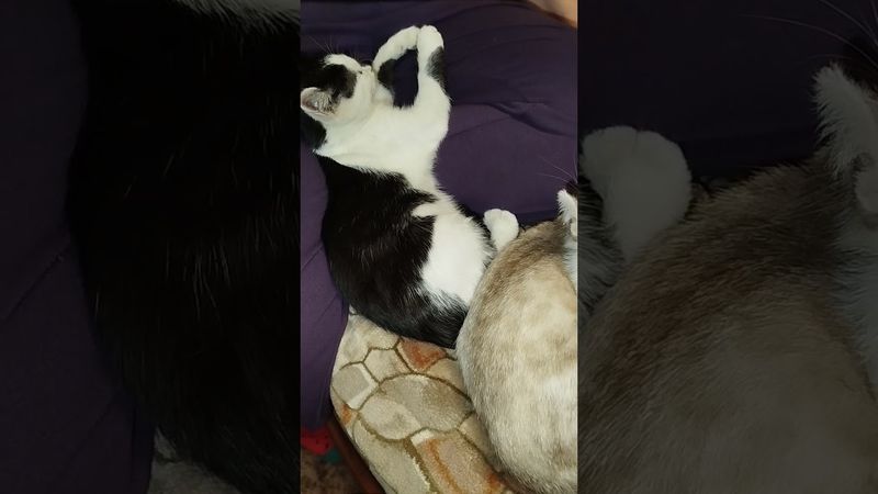 16 сентября 2025 г.