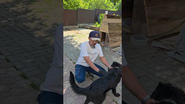 Немец 6 мес.