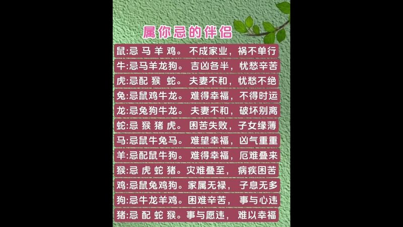 十二生肖與你相沖的生肖伴侶是誰！ #生肖#易學智慧 #國學文化 #國學智慧 #易經文化 #運勢 #犯忌 #相沖 #玄學 #道家文化 #十二生肖