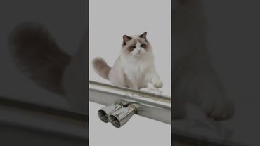 Чудо-выхлоп с АлиЭкспресс ч.10