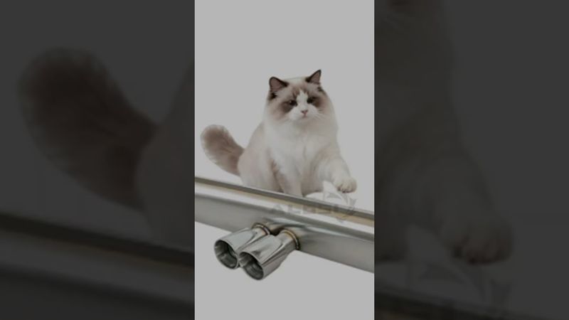 Чудо-выхлоп с АлиЭкспресс ч.10