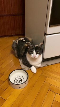 Из роковой красотки в #грязную #голодную #ДавайЗаСтол