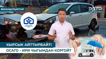 КЫРСЫК АЙТТЫРБАЙТ! ОСАГО – ИРИ ЧЫГЫМДАН КОРГОЙТ