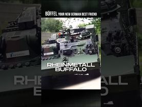 Il tuo nuovo migliore amico tedesco – Büffel