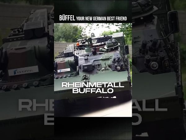 Il tuo nuovo migliore amico tedesco – Büffel