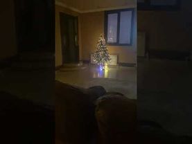 С НОВЫМ ГОДОМ !!!❤️  МОИ ДОРОГИЕ !!!☃️❄️😳🤭😳🤭☃️🤭😳🤭❤️