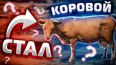 КАК Я СТАЛ КОРОВОЙ??? НА GTA 5 RP BLACKBERRY