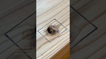 How to Patch a Knot with a Square Plug #shorts #woodworking #diy