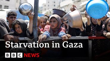 Gaza faces 'man-made mass starvation’, says WHO chief | BBC News