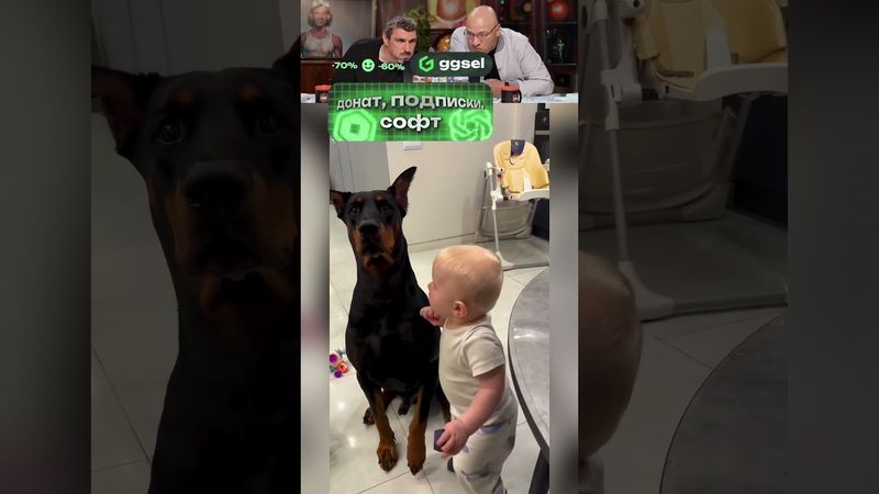 ЗАСМЕЯЛСЯ-ПОДПИСАЛСЯ Ч.023😂🤣😅